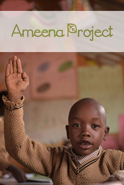 tmg-impact--media--Ameena Project
