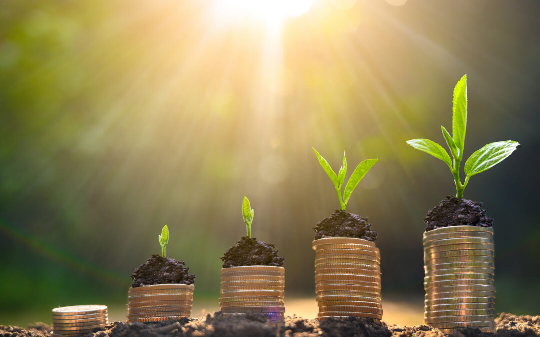 Finding Year-Round Value in Your Stakeholder Reports