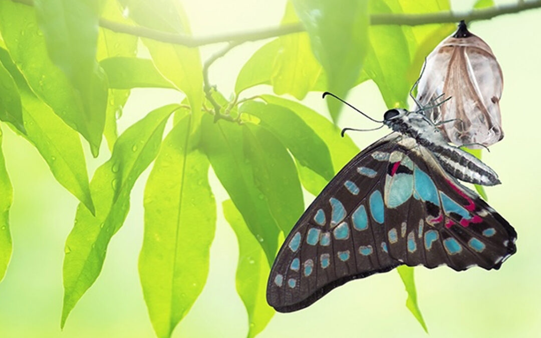 A New Season: Tia Over Named President and Owner of Spring Green Communications